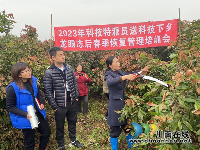 泸县云龙镇：科技送下乡，政协解难题