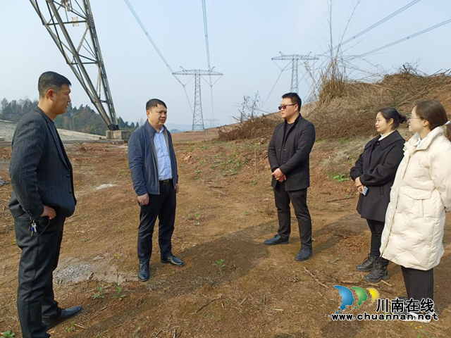 合江县自然资源和规划局督导石龙镇耕地进出平衡和地灾防治工作