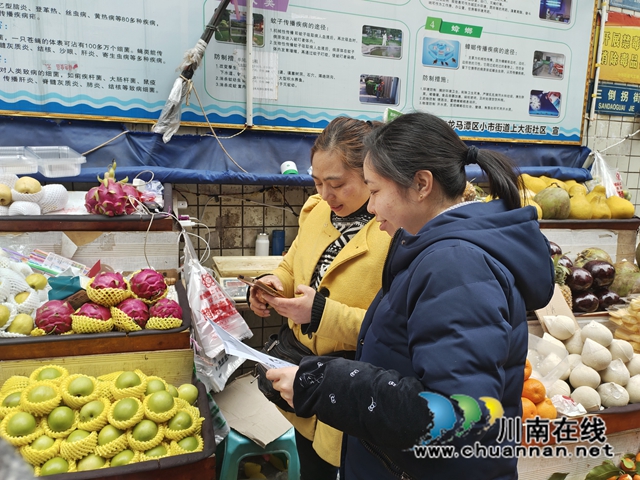 龙马潭区小市街道上大街社区开展“生育意愿调查问卷”活动