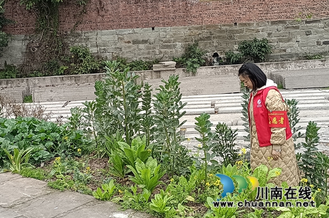 泸县云龙镇：禁种铲毒正当时，踏查宣传不放松
