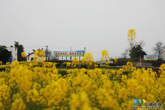 nEO_IMG_7L8A4099.jpg