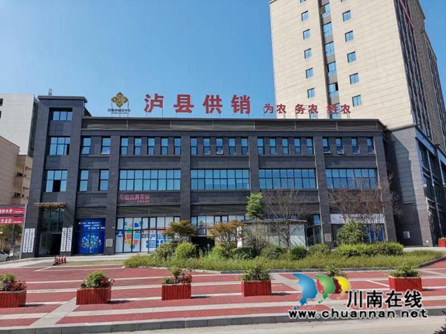 蝉联全省县区类第一！泸县供销社8项工作获省供销社通报表扬