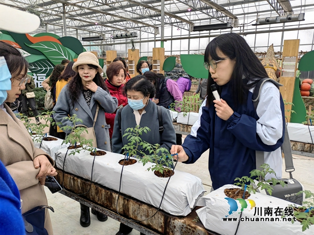 民建泸州市委举办“温情三月•魅力民建”庆祝“三•八”节活动