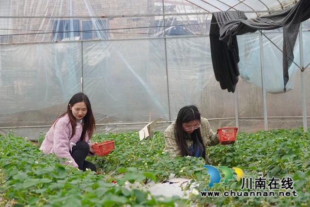 蔡琳拍摄.jpg
