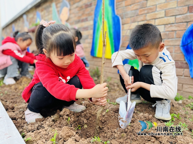 泸县城东幼儿园石岗分园开展“植此青绿，约定春天”特色种植活动