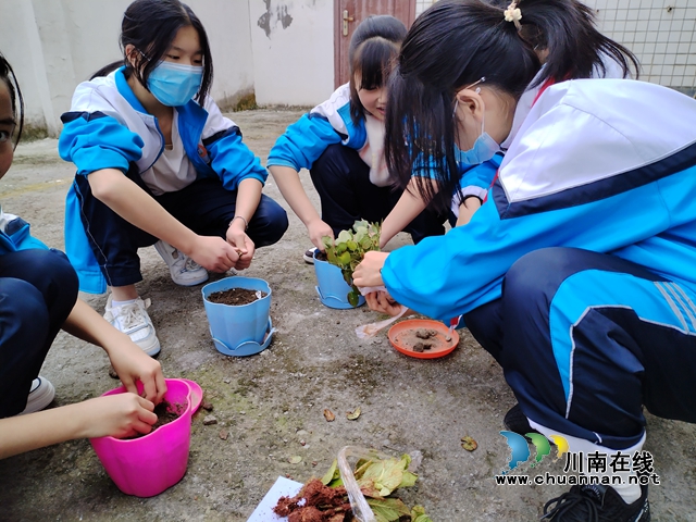 “植”此新绿，拥抱春光｜泸州市自强学校开展植树活动