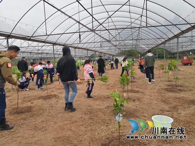 江阳区华阳街道西岸村开展“我与小树共成长”植树节活动