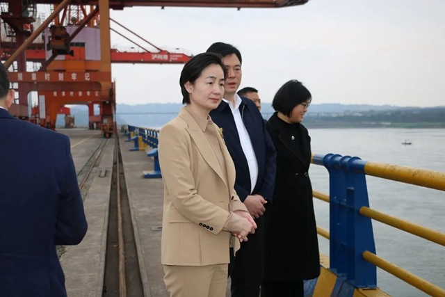 泸州市副市长陈小艳调研口岸物流高质量发展工作