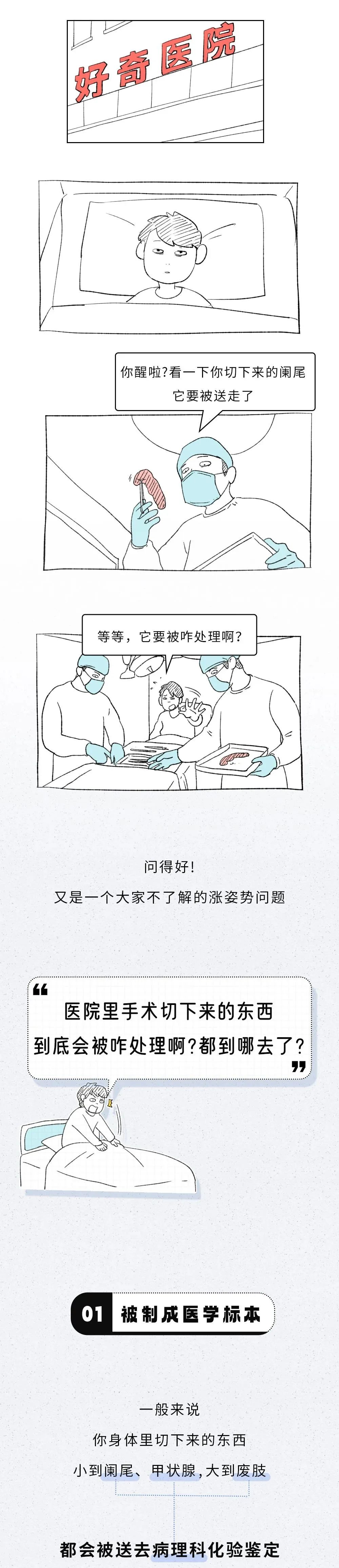 肢1.jpg
