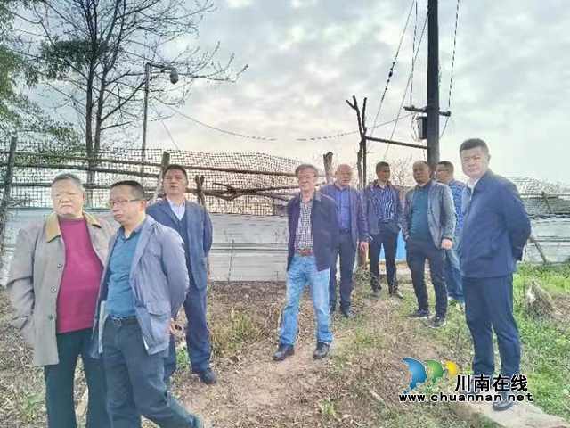 专家调研泸县玄滩刁河村  助力乡村振兴