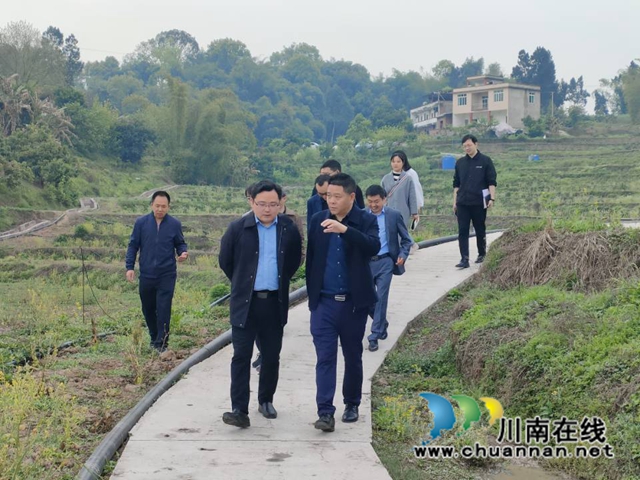 李杨带队督导“合江县酱油工匠之乡”重点项目建设工作