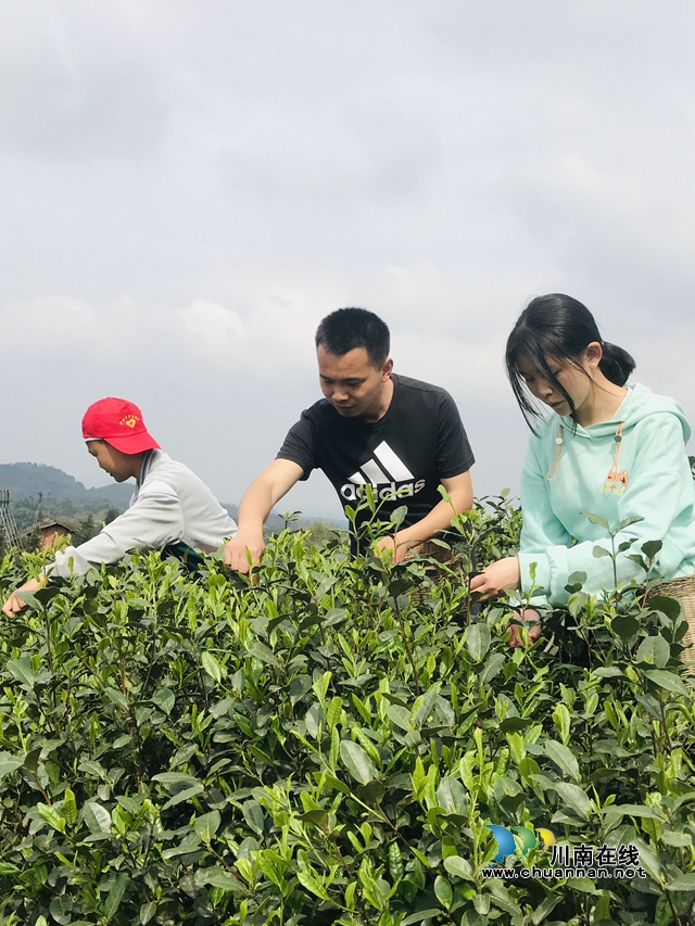 纳溪区护国中学开展劳动实践学技能