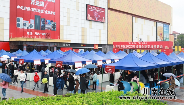 龙马潭：民营企业专场招聘会，助力企业招才引智健康发展