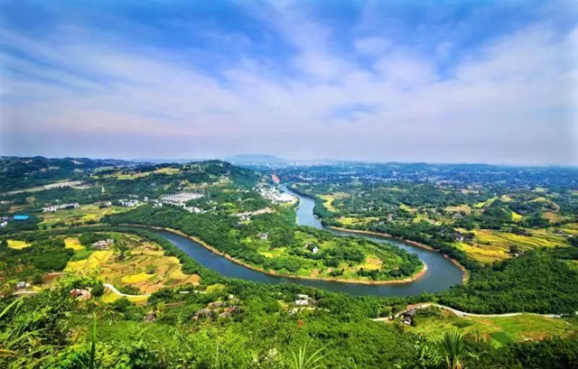 纳溪:茶园变景区,茶旅融合成就乡村振兴新传奇(图1) 3.jpg