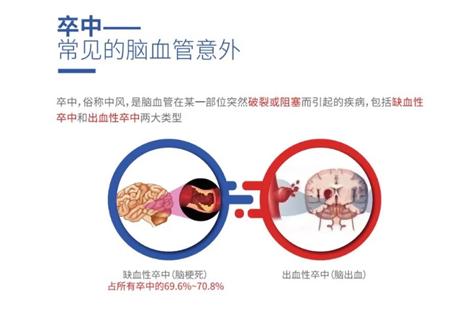 华6.jpg