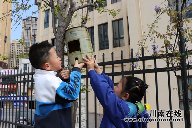 搭建鸟窝.JPG