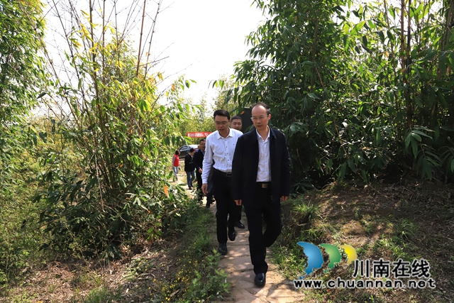 肖春率队到泸县云龙镇督导森林防灭火工作