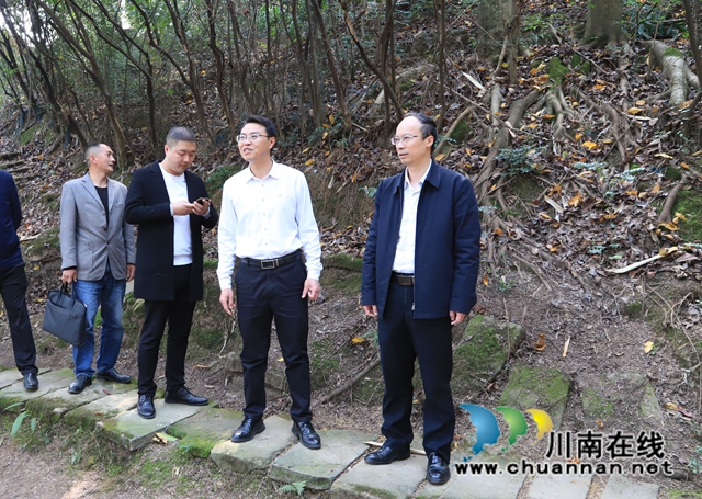肖春率队到泸县云龙镇督导森林防灭火工作(图3) 8ab8788d7e8447fde49c108628953b6.jpg
