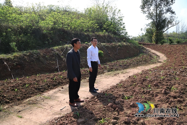 泸县云龙镇主要负责人率队深入一线调研春耕生产和抗旱保水工作