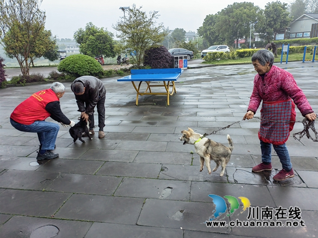 江阳区华阳街道西岸村：为宠物打狂犬疫苗进村