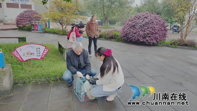 江阳区华阳街道西岸村:为宠物打狂犬疫苗进村(图2) 43882ec9aa37cc5c4775cc317c1d222.jpg