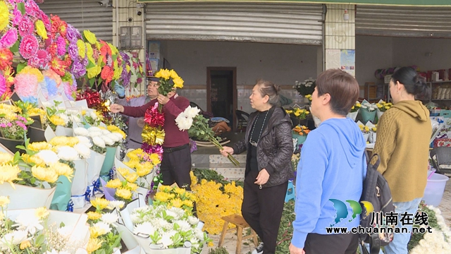 龙马潭：绿色祭扫蔚然成风