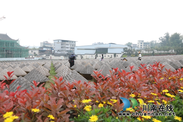 用镜头记录美丽！东翼片区摄影家协会在合江县采风
