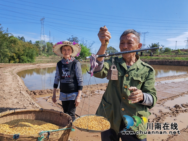 称种子（曾佐然摄）.jpg
