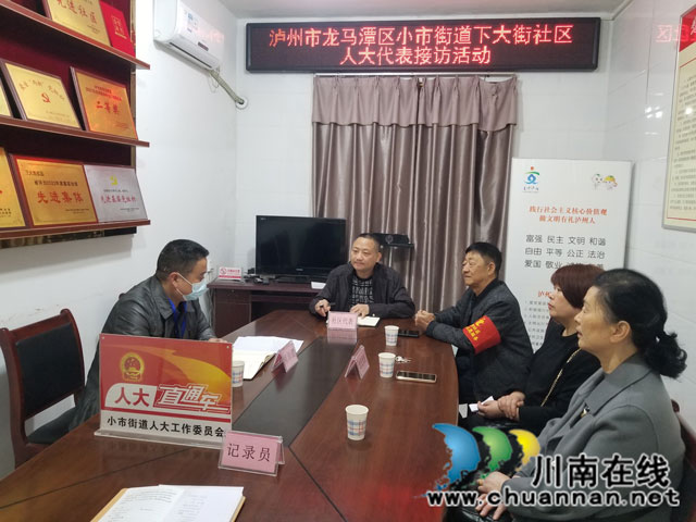 龙马潭区小市街道下大街社区┃党风政风监督员参与接访活动