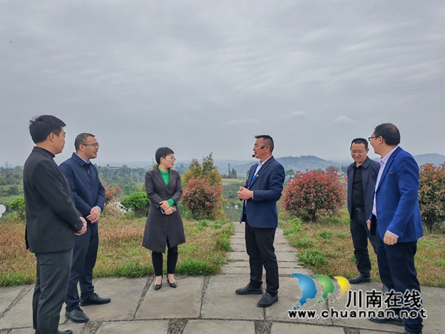 考察产业发展（曾佐然摄）.jpg