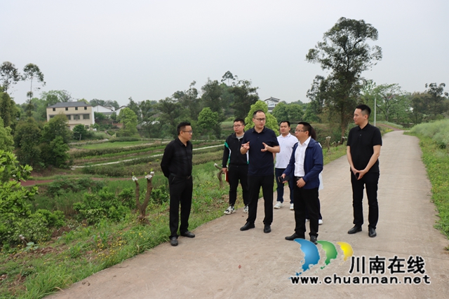 泸县政协到立石镇调研泸永江特色产业带及小农水项目