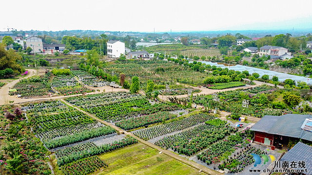 nEO_IMG_DJI_0461.jpg