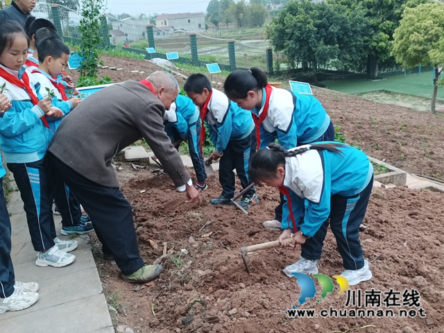 5.程师傅带着孩子们仔细观察和了解“耕种”的工具外形，耐心指导同学们进行翻土、打窝、栽种。.jpg
