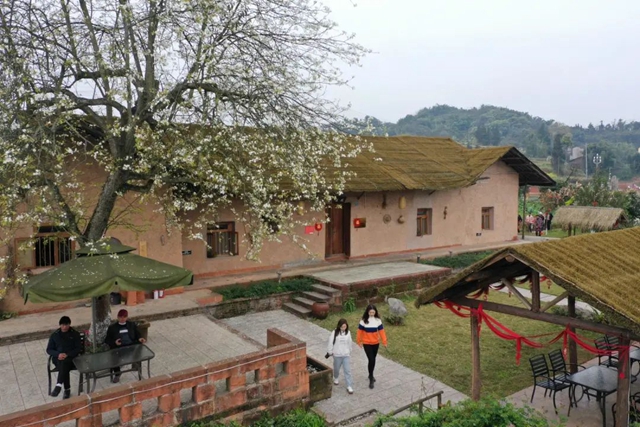 纳溪：“特聘村主任”助力乡村振兴