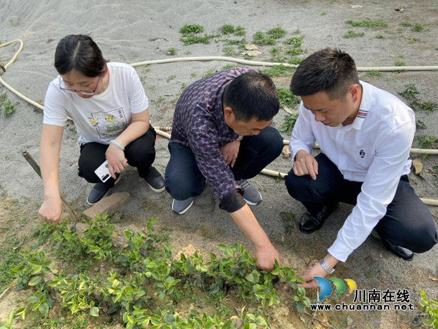 泸县自然资源和规划局：用好“传家宝”，深入开展“大调研、大走访”活动