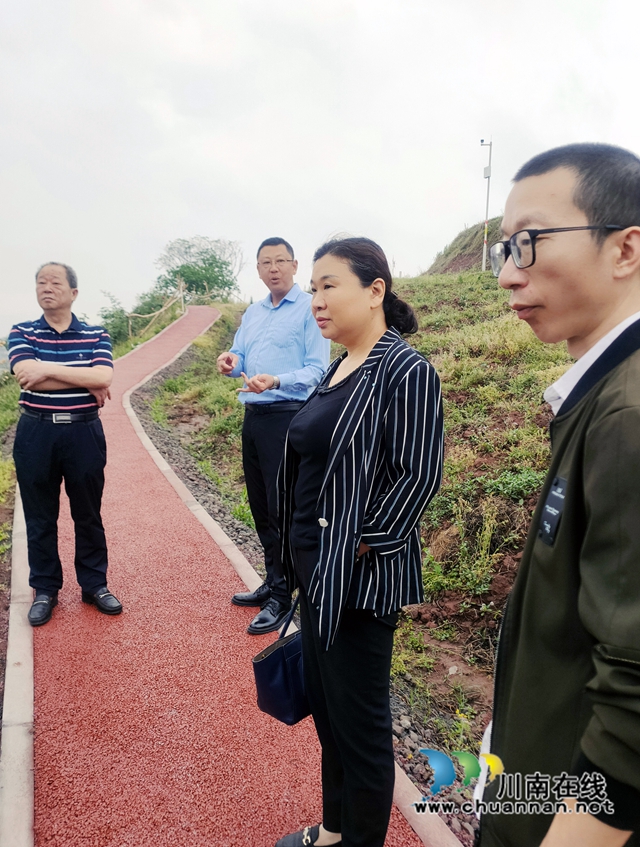 民建龙马潭区基层委等三个基层组织联合开展高粱现代农业园区建设调研