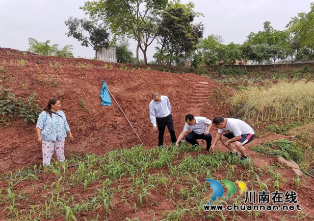龙马潭区鱼塘街道：春耕时节农事忙 人大代表来帮忙