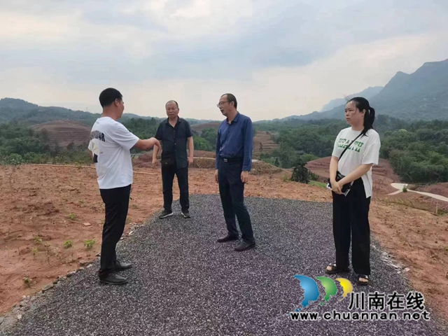 泸州市农业农村局经济作物站到叙永县向林镇调研茶产业发展情况