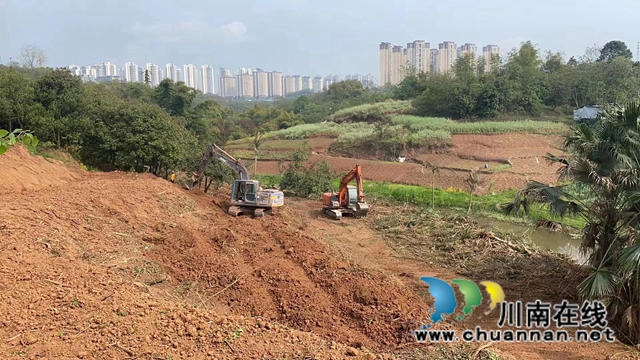 江阳区华阳街道：严守耕地红线，确保粮食安全