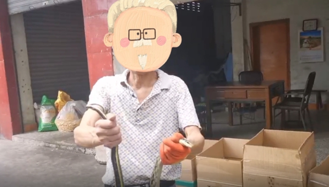 蛇1.jpg