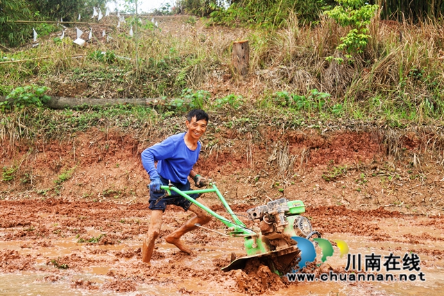 农民使用农机进行春耕生产 (2).jpg