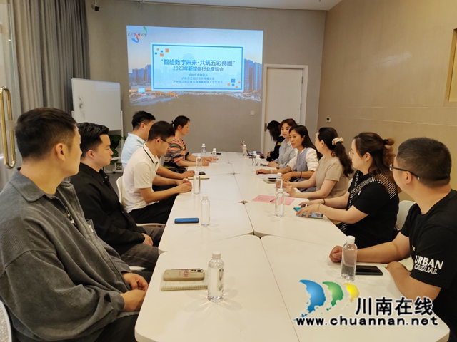 江阳区华阳街道：智绘数字未来，共筑五彩商圈