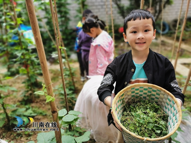 泸县城东幼儿园开展“劳动最光荣，美德润童心”主题教育活动