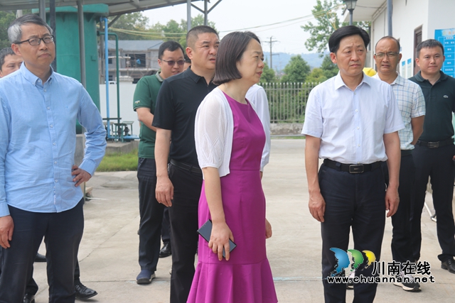 徐利到泸县百和镇督导大陆溪水质达标攻坚和林长制工作