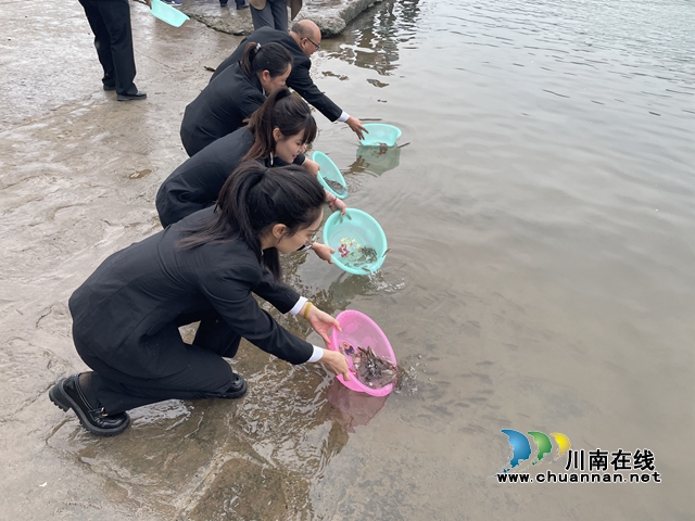 纳溪区法院：“纽扣法庭”联合行动，共护长江上游生态