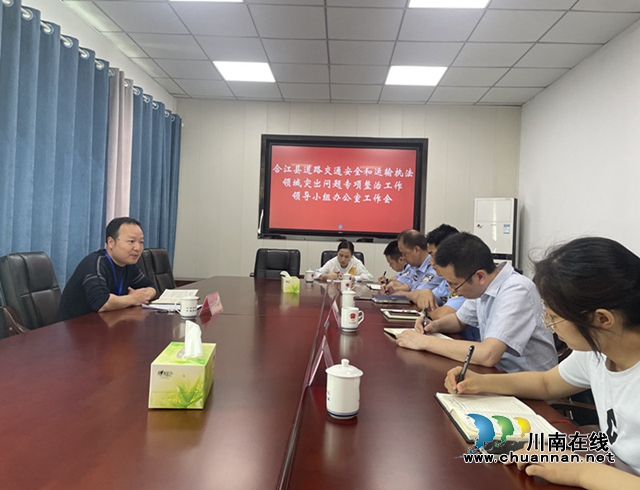 合江县召开道路交通安全和运输执法领域突出问题专项整治工作领导小组办公室工作会议