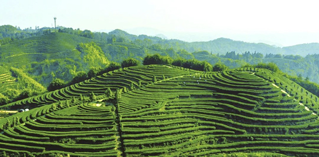 护国镇梅岭村：全力以赴创建全国文明村