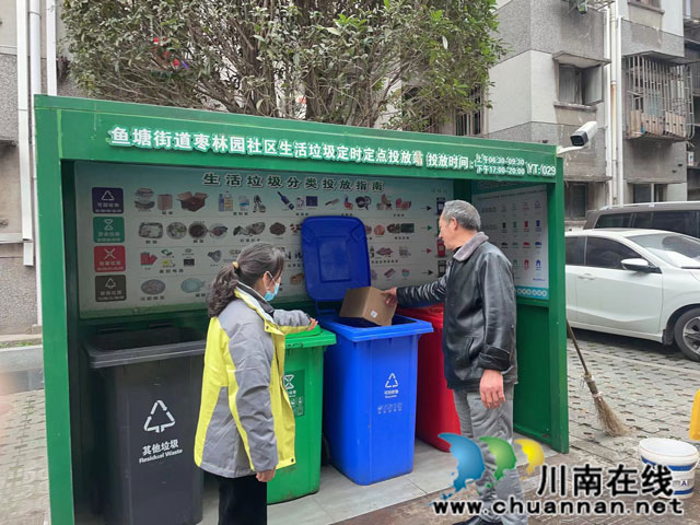 龙马潭：垃圾分类有实效 “脏乱差”变“洁净美”