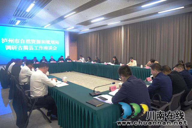 丁跃萍到古蔺叙永调研指导自然资源和规划工作