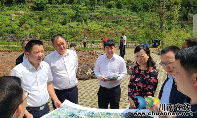 省自然资源专职副总督察杨伟率队到泸州调研督导有关工作